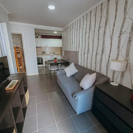 Aliciamar 29 By Casas De سيتوبال